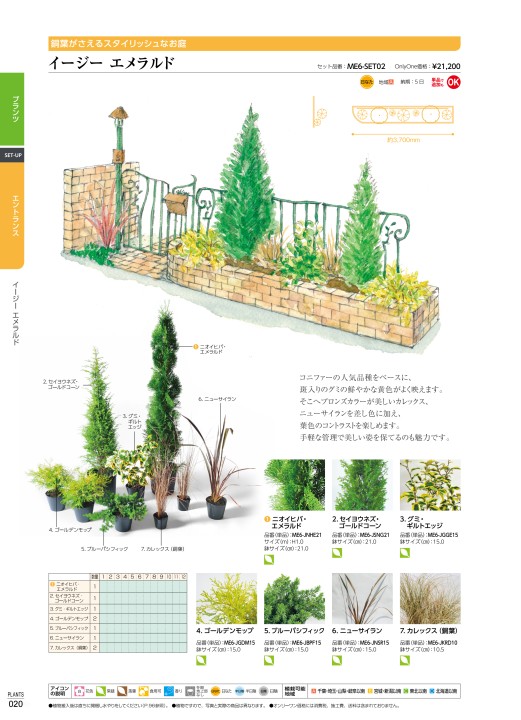 ハイノキ　/ 539 ハイノキ / 539 ハイノキ / 539