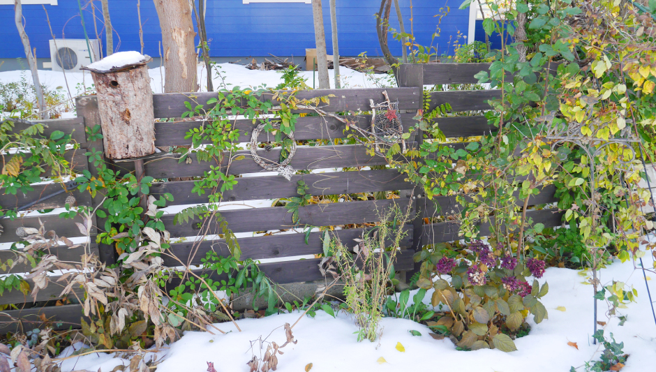 そろそろお庭の冬支度。凍結対策はお済みですか？