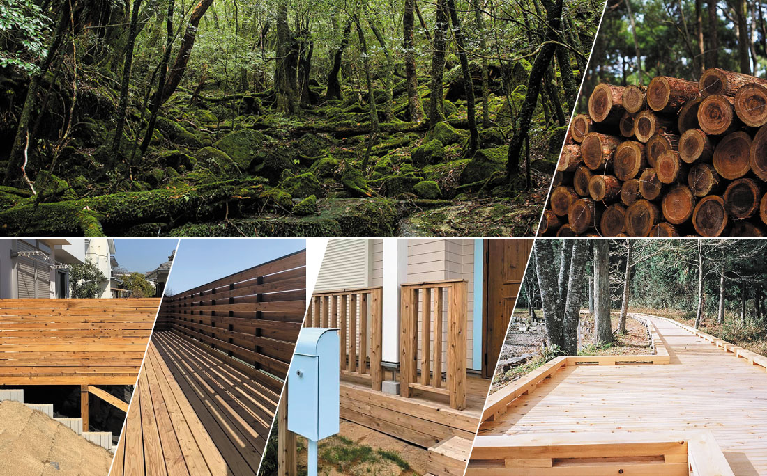 持続可能な社会を目指して、
国産木材の供給を強化。