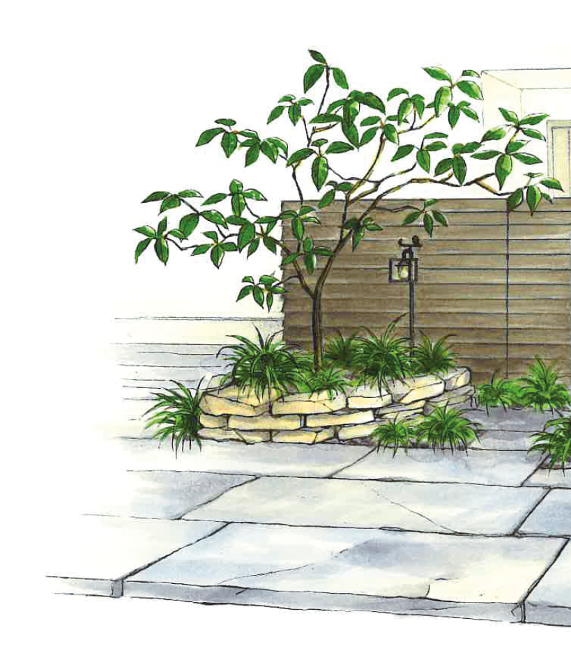 エントランスの植栽にもミニマムで行こう！～ローメンテナンスなセットプランのご紹介～