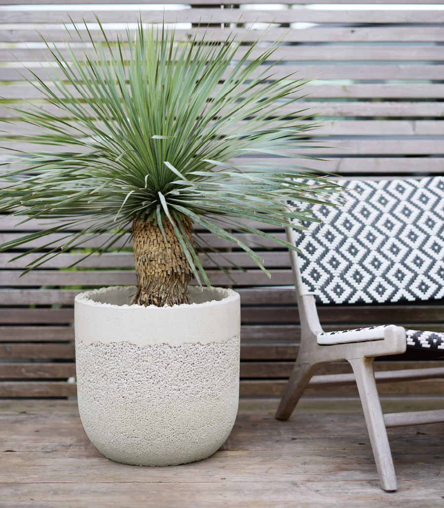 オンリーワンガーデン＆リビング G16 発刊　ガーデン商品のご紹介