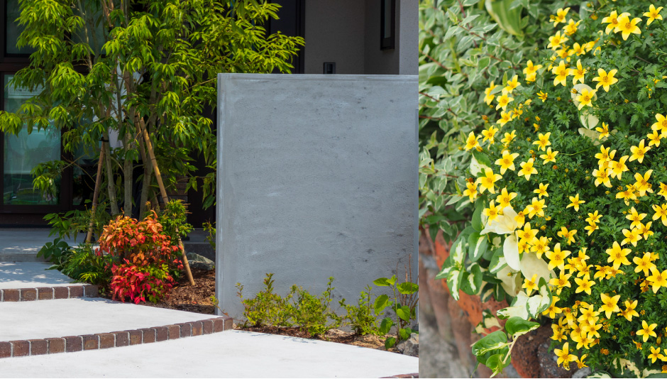 春から始める庭づくり  〜さみしいお庭を『下草』で賑やかに！〜