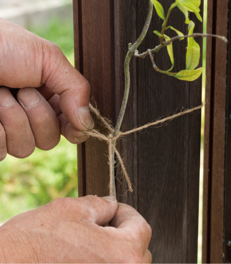 春から始める庭づくり  〜さみしいお庭を『下草』で賑やかに！〜
