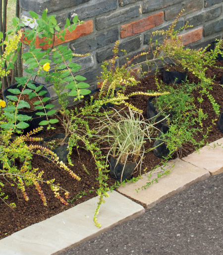 春から始める庭づくり  〜さみしいお庭を『下草』で賑やかに！〜