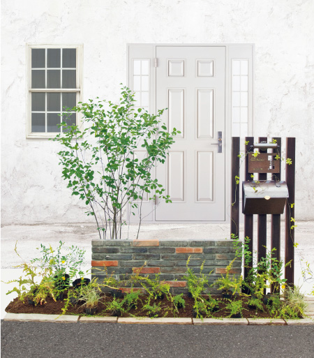 春から始める庭づくり  〜さみしいお庭を『下草』で賑やかに！〜