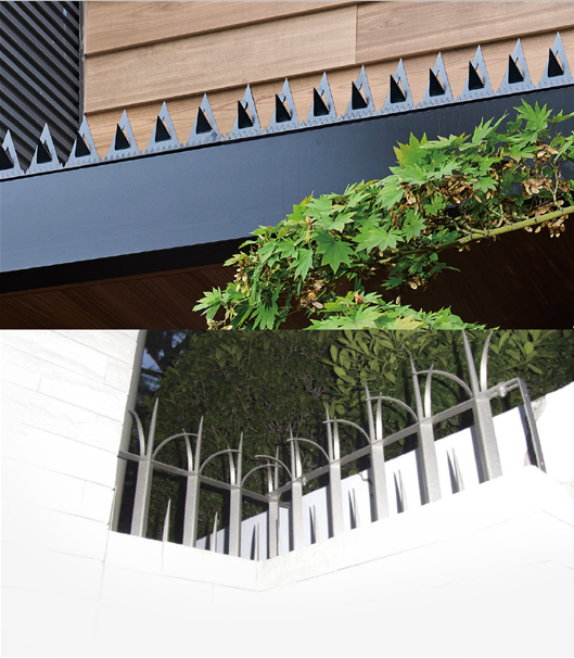 見えない不安から守る！防犯・防災アイテム特集