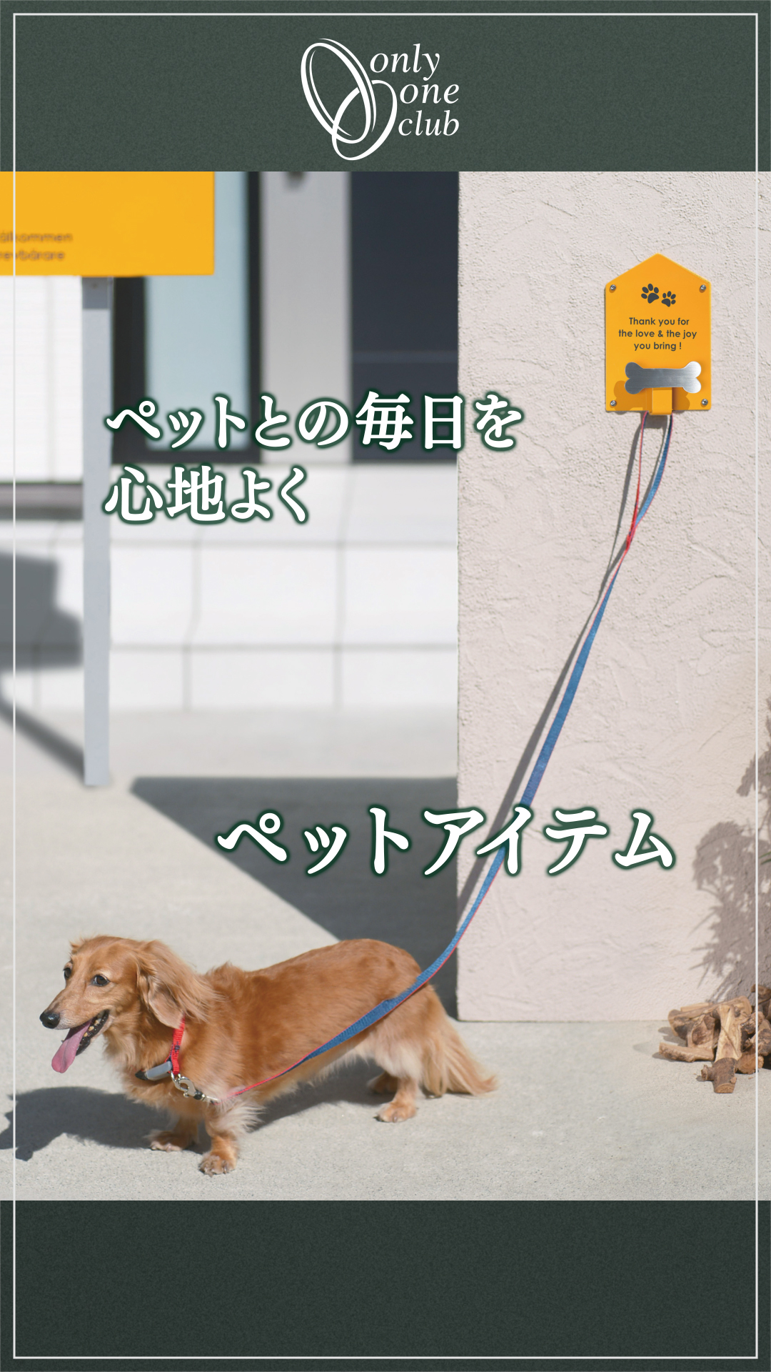 【ペットアイテム】ペットと一緒に過ごす時間も心地よく。ケアも遊びもスマートに。
