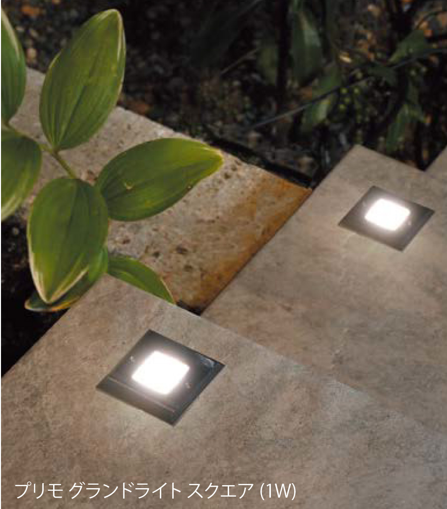 光で魅せるナイトガーデン。植栽を美しく照らすガーデンライト