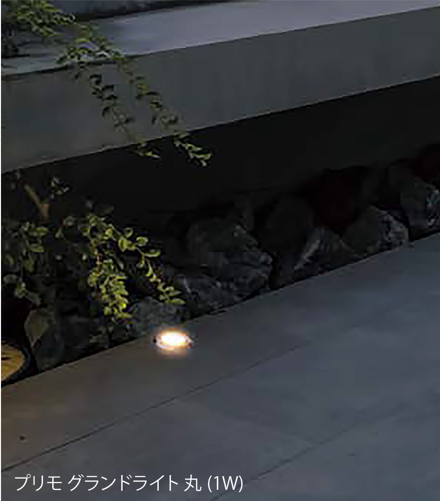 光で魅せるナイトガーデン。植栽を美しく照らすガーデンライト