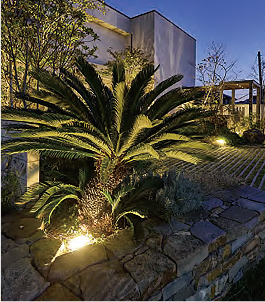 光で魅せるナイトガーデン。植栽を美しく照らすガーデンライト