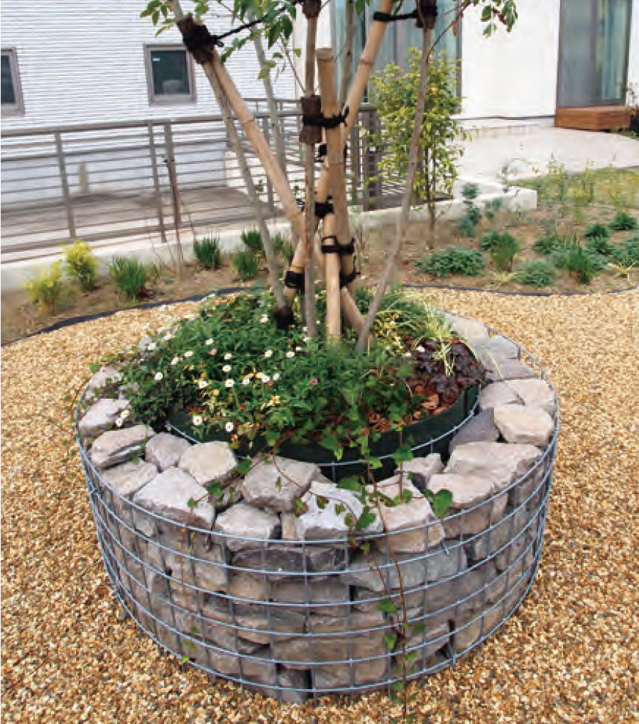 新感覚！ガビオンでつくる「ラフ ✕ モダン」な庭スタイル