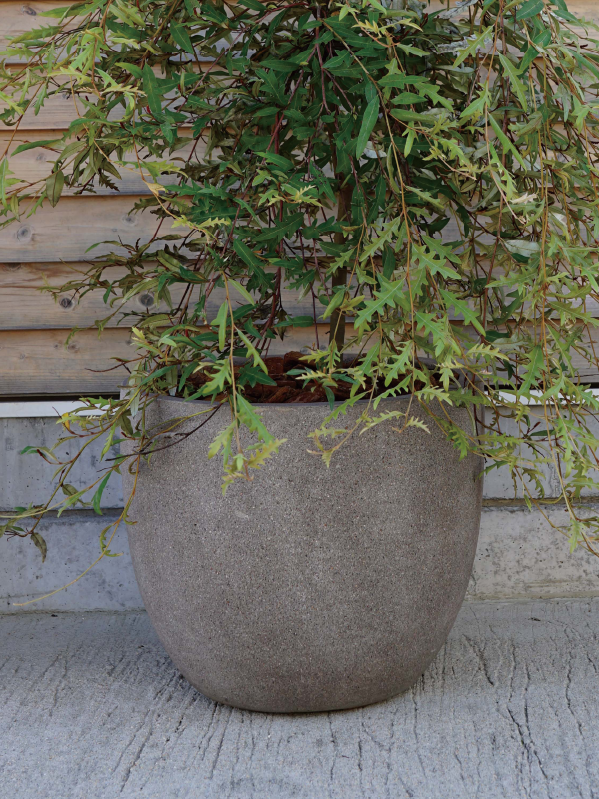 オンリーワンガーデン G19発刊のご案内