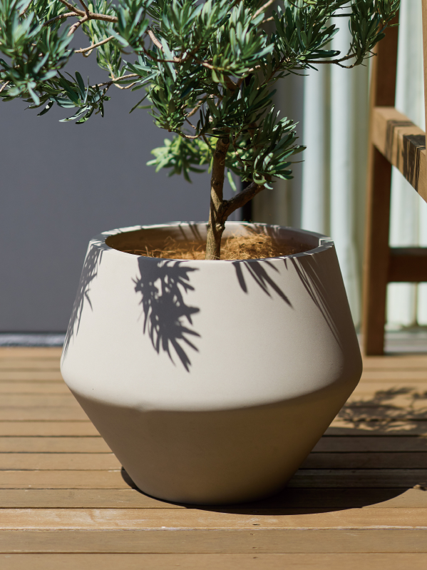 オンリーワンガーデン G19発刊のご案内