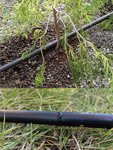 オンリーワンガーデン G19発刊のご案内